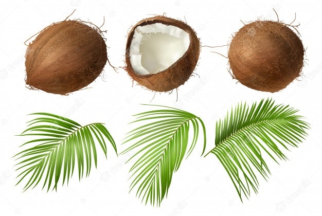 coconuts oil