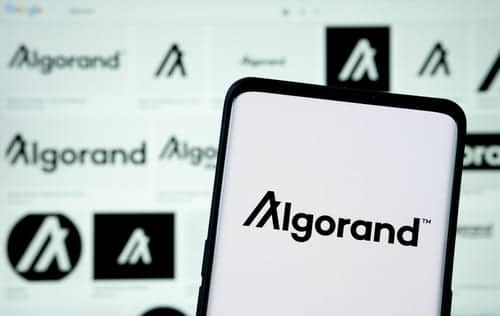 ما هو Algorand