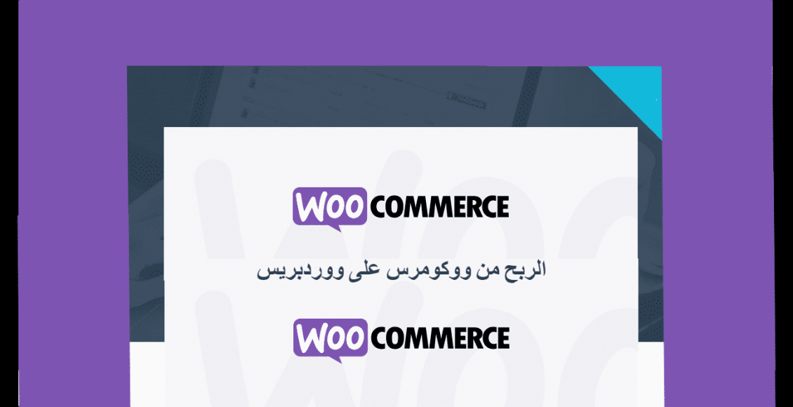 Profit from WooCommerce
